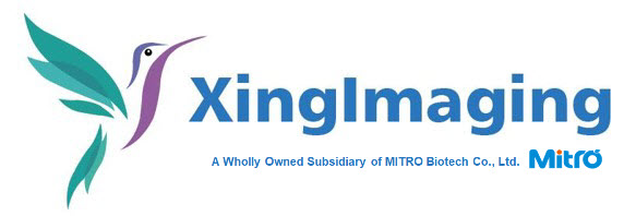 XingImaging